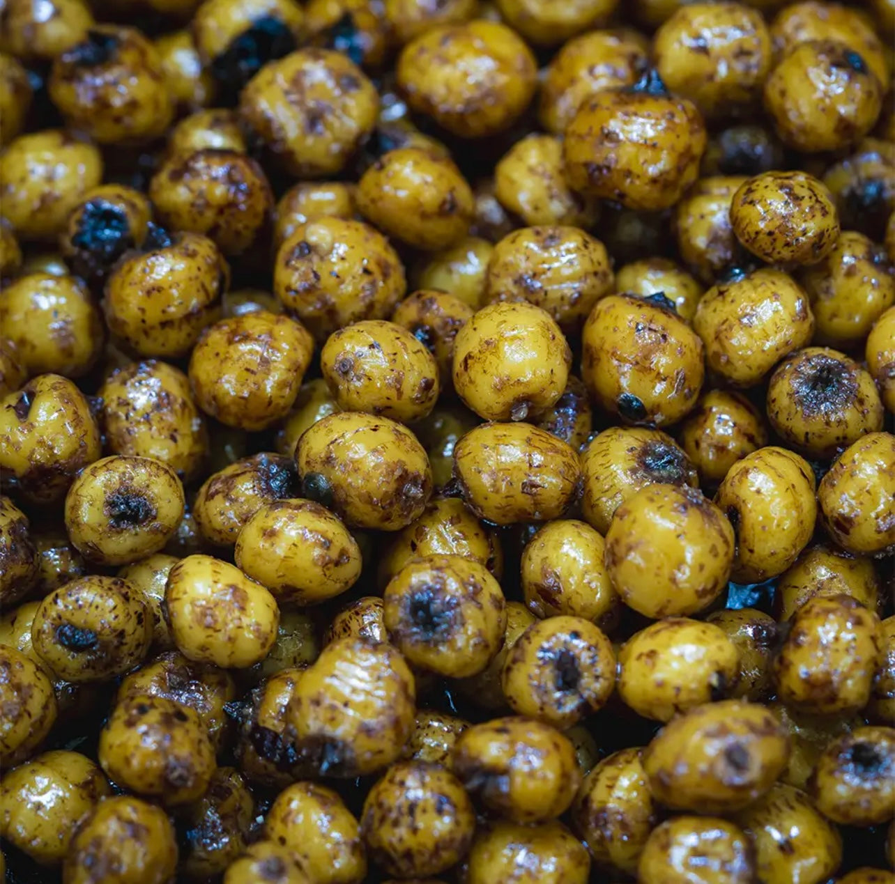 PREPARED TIGER NUTS 5KG