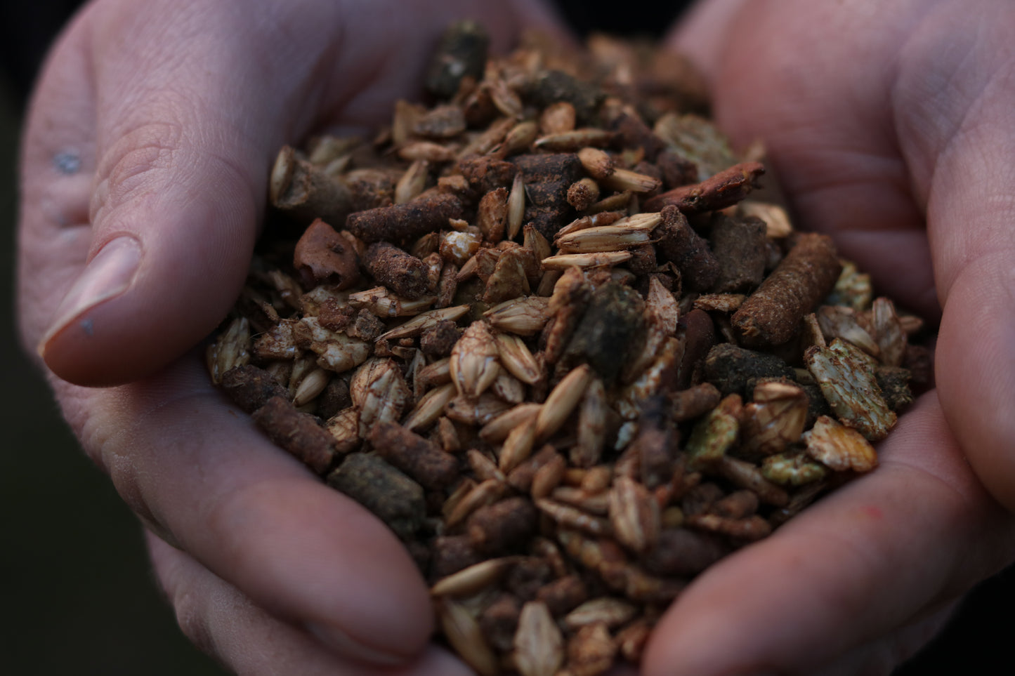 INSECT SPOD MIX - 5kg