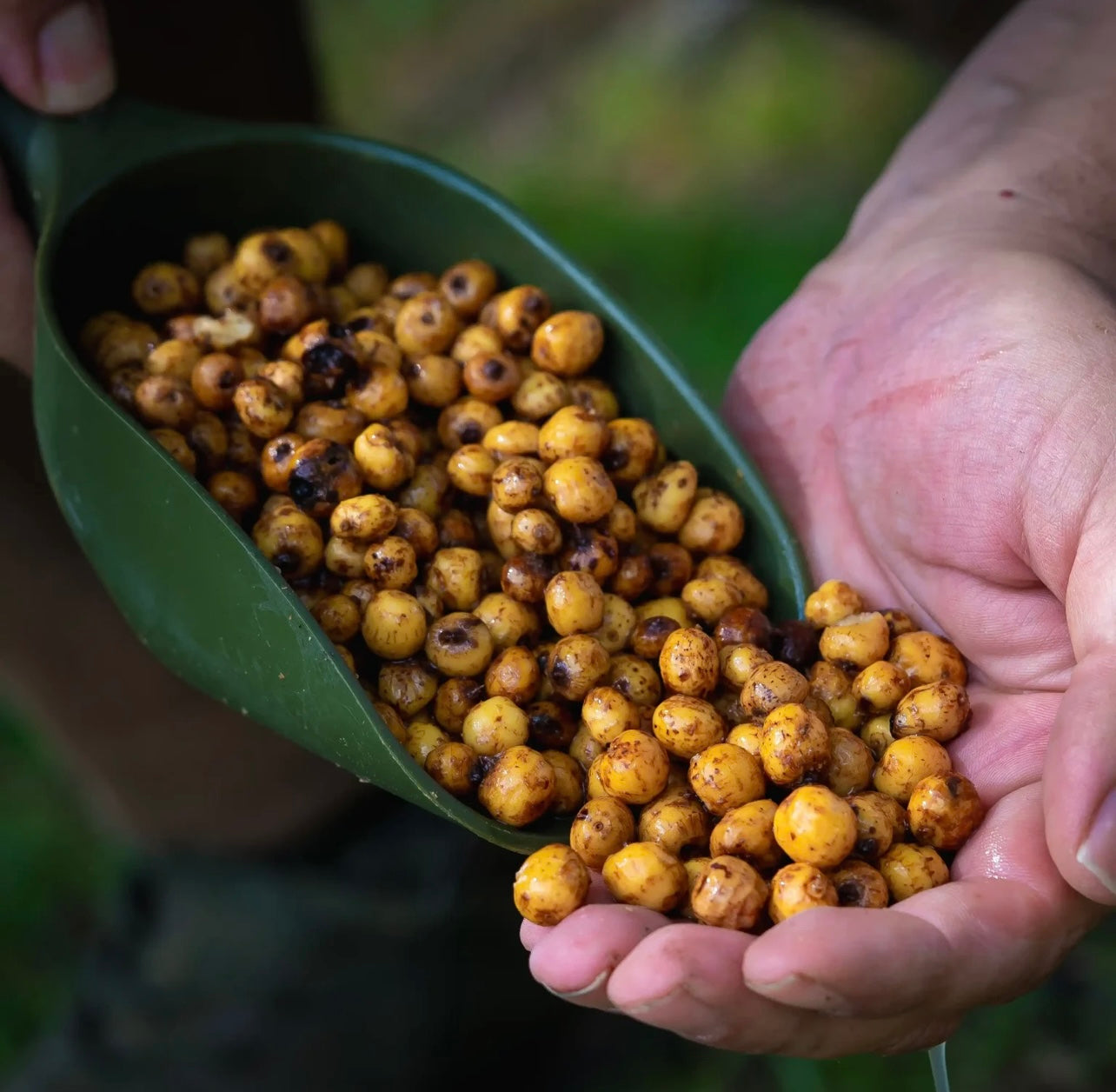 PREPARED TIGER NUTS 5KG